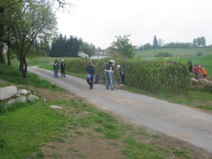 Cesta
